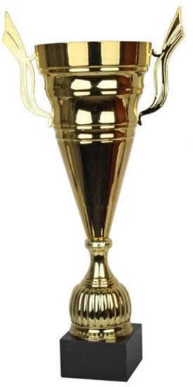 Изображение Tryumf Puchar W1981