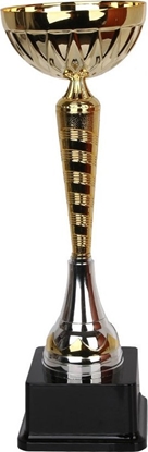 Изображение Tryumf Puchar W1990