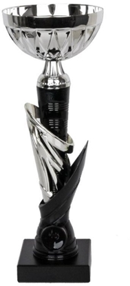 Изображение Tryumf Puchar W1992