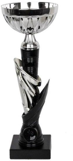 Изображение Tryumf Puchar W1992