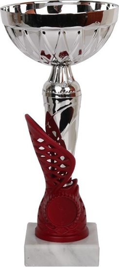 Изображение Tryumf Puchar W1993