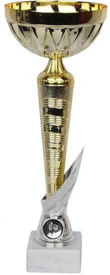 Изображение Tryumf Puchar W2046