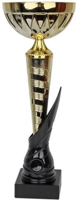 Изображение Tryumf Puchar W2047