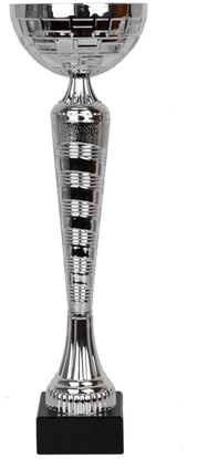 Изображение Tryumf Puchar W2079