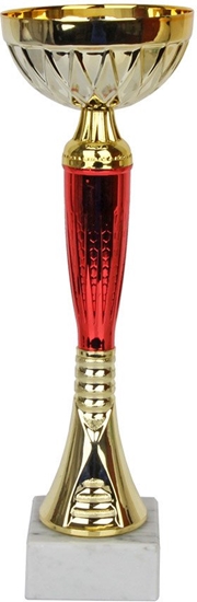 Изображение Tryumf Puchar W2083