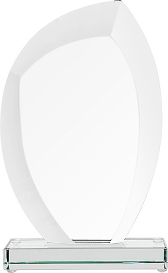 Изображение Tryumf Trofeum szklane z rozklejon podstaw i etui G010/FP