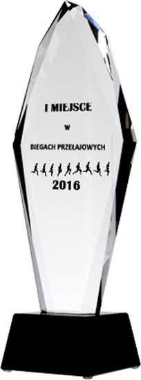 Изображение Trofeum szklane grawerowane + wypenienie farb