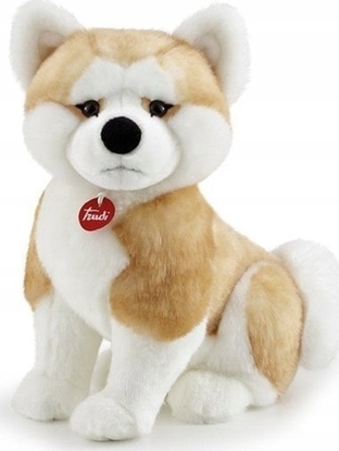 Picture of Trudi TRUDI KLASYCZNE AKITA ASCANIO (L)