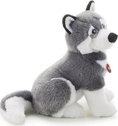 Picture of Trudi TRUDI KLASYCZNE HUSKY (L)