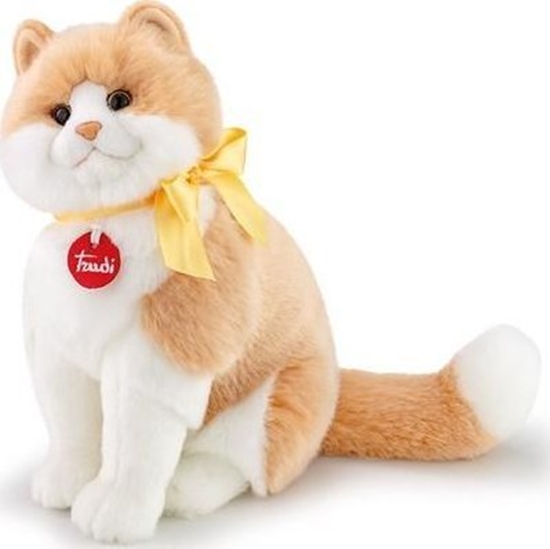 Picture of Trudi TRUDI KOT CHARLIE (M)