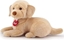 Изображение Trudi TRUDI LABRADOR LIAM S