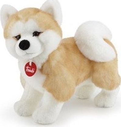 Изображение Trudi TRUDI PLUSZ AKITA ASCANIO ( M )