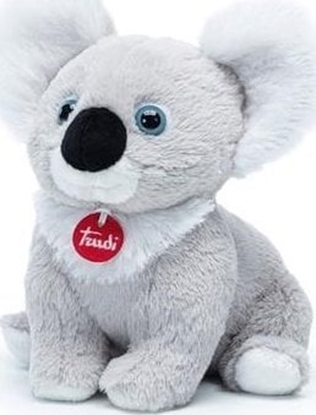 Picture of Trudi TRUDI PUPPY KOALA (M)
