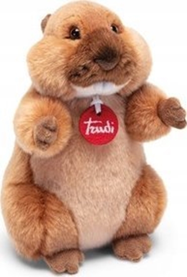 Изображение Trudi TRUDI WISTAK