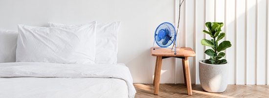 Изображение Tuleja konierz. 50 Eko