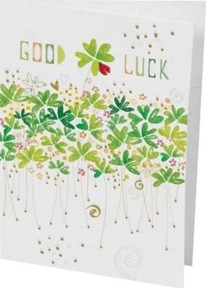 Picture of Turnowsky Karnet B6 + koperta MO7428X1 Powodzenia