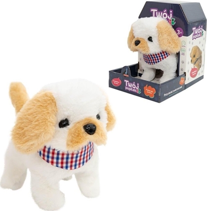 Picture of Twój pupilek piesek