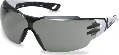 Picture of Aizsargbrilles UVEX Pheos CX2; Supravision excellence; pelēki