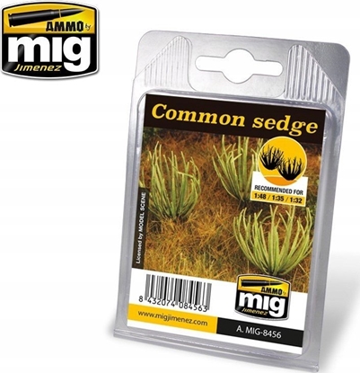 Attēls no Vallejo Ammo: Plants - Common Sedge
