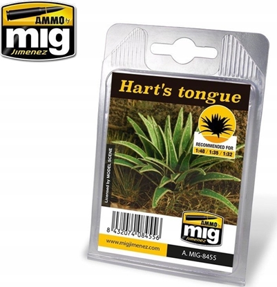 Attēls no Vallejo Ammo: Plants - Hart's Tongue