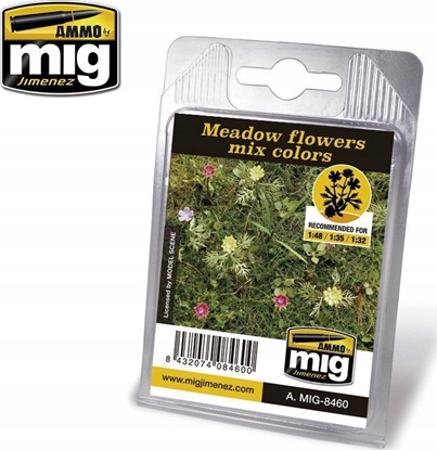 Attēls no Vallejo Ammo: Plants - Meadow Flowers Mix Colors