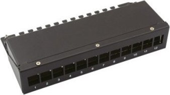 Picture of Value Keystone Module frame, 12 Ports, black