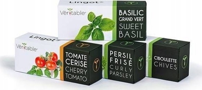 Picture of Veritable Véritable Lingot Thajská bazalka - BIO