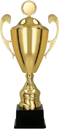 Attēls no Victoria Sport PUCHAR