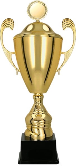 Picture of Victoria Sport PUCHAR