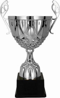 Attēls no Victoria Sport Puchar metalowy srebrny MUFAS