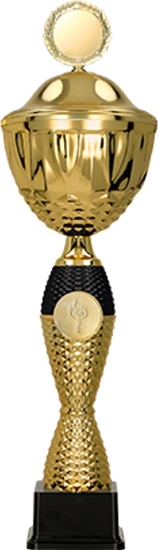 Изображение Victoria Sport Puchar metalowy z przykrywk