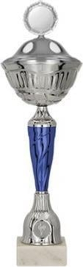 Изображение Victoria Sport Puchar metalowy z przykrywk