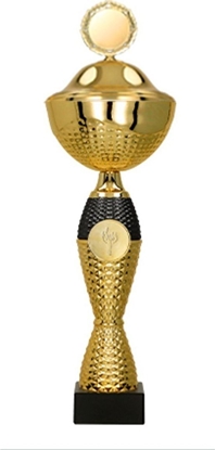 Изображение Victoria Sport Puchar metalowy z przykrywk