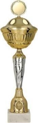 Изображение Victoria Sport Puchar metalowy z przykrywk