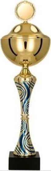 Изображение Victoria Sport Puchar metalowy z przykrywk