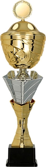 Изображение Victoria Sport Puchar metalowy z przykrywk