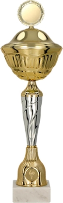 Изображение Victoria Sport Puchar metalowy z przykrywk