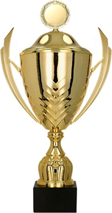 Изображение Victoria Sport Puchar metalowy z przykrywk