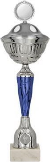 Picture of Victoria Sport Puchar metalowy z przykrywk