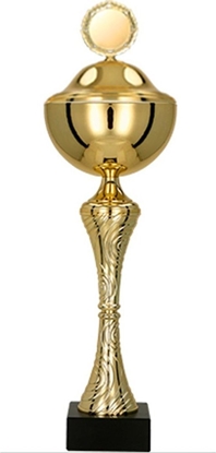 Attēls no Victoria Sport Puchar metalowy z przykrywk