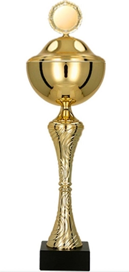 Picture of Victoria Sport Puchar metalowy z przykrywk