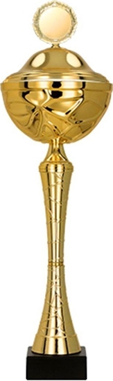 Picture of Victoria Sport Puchar metalowy z przykrywk