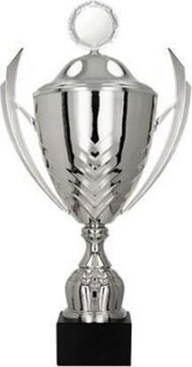 Attēls no Victoria Sport Puchar metalowy z przykrywk
