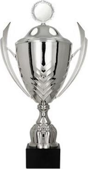 Picture of Victoria Sport Puchar metalowy z przykrywk