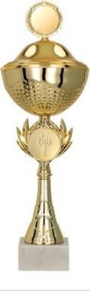 Изображение Victoria Sport Puchar metalowy z przykrywk