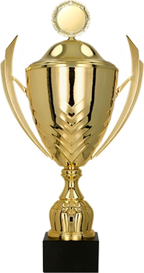 Изображение Victoria Sport Puchar metalowy z przykrywk