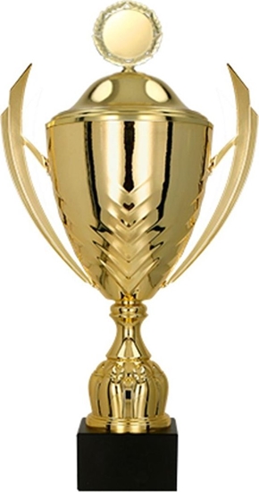 Изображение Victoria Sport Puchar metalowy z przykrywk