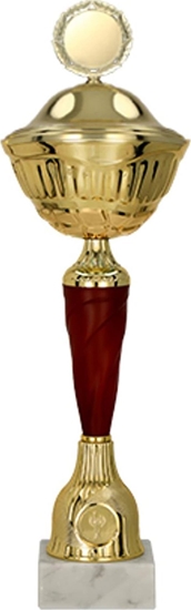 Picture of Victoria Sport Puchar metalowy z przyrkywk