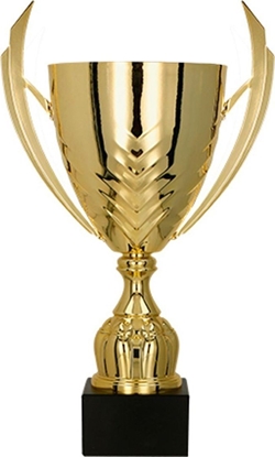 Attēls no Victoria Sport Puchar metalowy zoty