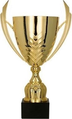 Attēls no Victoria Sport Puchar metalowy zoty